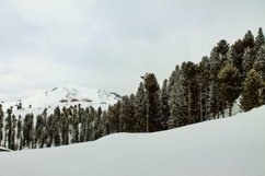 Breathtaking view of the pine trees on the snow-covered hill Product Image 1