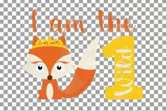 Wild One baby fox t-shirt graphic, family birthday svg files Product Image 6