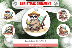 Ornament Beach Bum Sloth Product Image 1