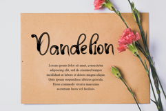 Beach Days Product Image 5