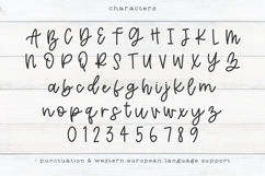 Beach Market Script Product Image 10