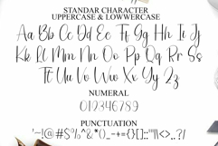 Beach Stylish Product Image 7