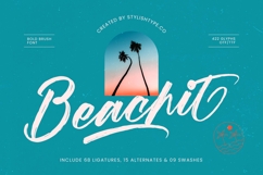 Beachit - Bold Brush Font Product Image 1