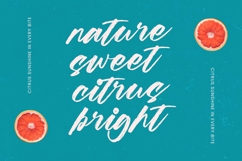 Beachit - Bold Brush Font Product Image 13