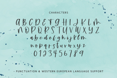 Beachwild Script Product Image 10