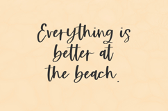 Beachwild Script Product Image 2