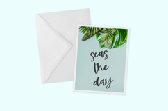 Beachwild Script Product Image 3