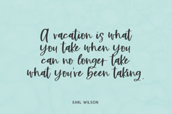 Beachwild Script Product Image 4