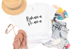 Beachwild Script Product Image 5