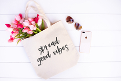 Beachwild Script Product Image 6