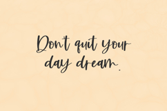 Beachwild Script Product Image 7