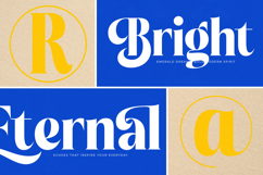 Beachy Lemon - Modern Serif Font Product Image 6