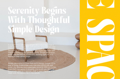 Beachy Lemon - Modern Serif Font Product Image 7