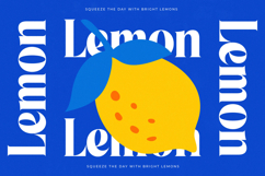 Beachy Lemon - Modern Serif Font Product Image 8