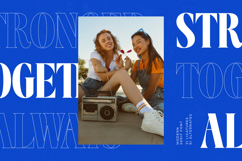 Beachy Lemon - Modern Serif Font Product Image 9