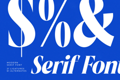 Beachy Lemon - Modern Serif Font Product Image 11