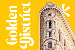 Beachy Lemon - Modern Serif Font Product Image 12