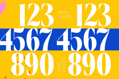Beachy Lemon - Modern Serif Font Product Image 13