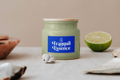 Beachy Lemon - Modern Serif Font Product Image 14