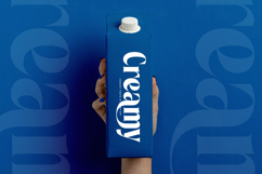 Beachy Lemon - Modern Serif Font Product Image 16