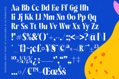 Beachy Lemon - Modern Serif Font Product Image 18