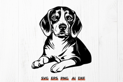 Beagle Lying Down SVG PNG DXF | Beagle Dog Cut File Design Product Image 1