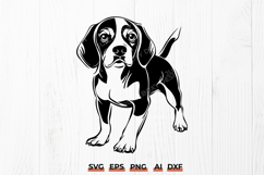Beagle Standing SVG PNG DXF | Alert Cute Beagle Dog Cut File Product Image 1