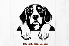 Peeking Beagle SVG | Cute Dog Window Decal Beagle Cut File Product Image 1