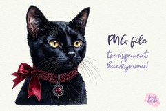 2 Black Cat PNG Gothic Smut Dark Romance Clipart Product Image 2