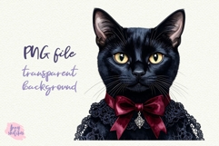 2 Black Cat PNG Gothic Smut Dark Romance Clipart Product Image 3