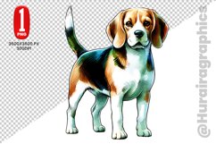 Beagle dog Clipart - PNG File Product Image 1