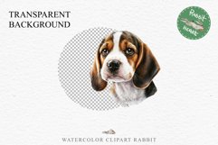 Beagle Cute Puppy Baby Dog Animals Clipart PNG Scrapbooking Watercolor  Transparent Print for invitation t-shirt designs sublimation kids printable digital watercolor Baby dog png, watercolor beagle puppy clipart, sublimation nursery drawing