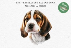 Beagle Cute Puppy Baby Dog Animals Clipart PNG Scrapbooking Watercolor  Transparent Print for invitation t-shirt designs sublimation kids printable digital watercolor Baby dog png, watercolor beagle puppy clipart, sublimation nursery drawing