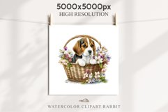 Beagle Cute Puppy Baby Dog Animals Clipart PNG Scrapbooking Watercolor  Transparent Print for invitation t-shirt designs sublimation kids printable digital watercolor Baby dog png, watercolor beagle puppy clipart, sublimation nursery drawing