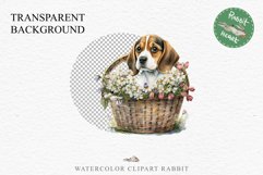 Beagle Cute Puppy Baby Dog Animals Clipart PNG Scrapbooking Watercolor  Transparent Print for invitation t-shirt designs sublimation kids printable digital watercolor Baby dog png, watercolor beagle puppy clipart, sublimation nursery drawing