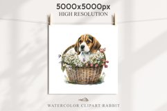 Beagle Cute Puppy Baby Dog Animals Clipart PNG Scrapbooking Watercolor  Transparent Print for invitation t-shirt designs sublimation kids printable digital watercolor Baby dog png, watercolor beagle puppy clipart, sublimation nursery drawing