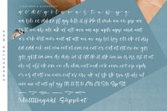 Beans Cozy - Modern Handbrush Script Product Image 19
