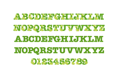 Beanstalk Color Font Product Image 3