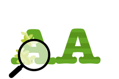 Beanstalk Color Font Product Image 7