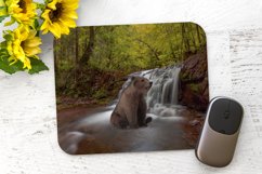Bear Chillin - Mouse Pad Sublimation - PhotoShop Design PNG Product Image 1