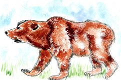 Bear Watercolor Product Image 1