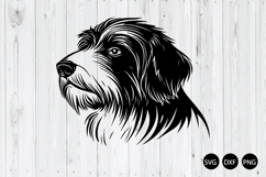 Bearded Collie Dog Head SVG, Dog SVG, Animal SVG Product Image 1