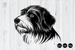 Bearded Collie Dog Head SVG, Dog SVG, Dog Silhouette SVG Product Image 1
