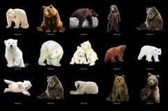 100 BEARS TRANSPARENT PNG FILES, ANIMALS PHOTOSHOP OVERLAYS Product Image 5