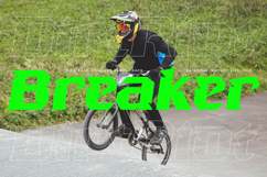 Beast Kings - Modern Sport Display Product Image 3