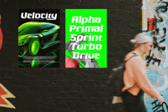 Beast Kings - Modern Sport Display Product Image 5