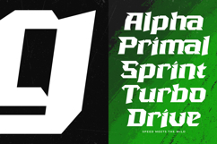 Beast Kings - Modern Sport Display Product Image 6