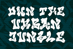 Beast Quotz | Wild Graffiti Font Product Image 2