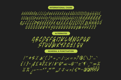 Beasty Strength Display Brush Font Product Image 13
