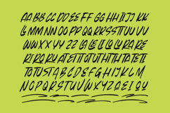 Beasty Strength Display Brush Font Product Image 14